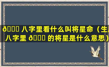 🍁 八字里看什么叫将星命（生辰八字里 🐋 的将星是什么意思）